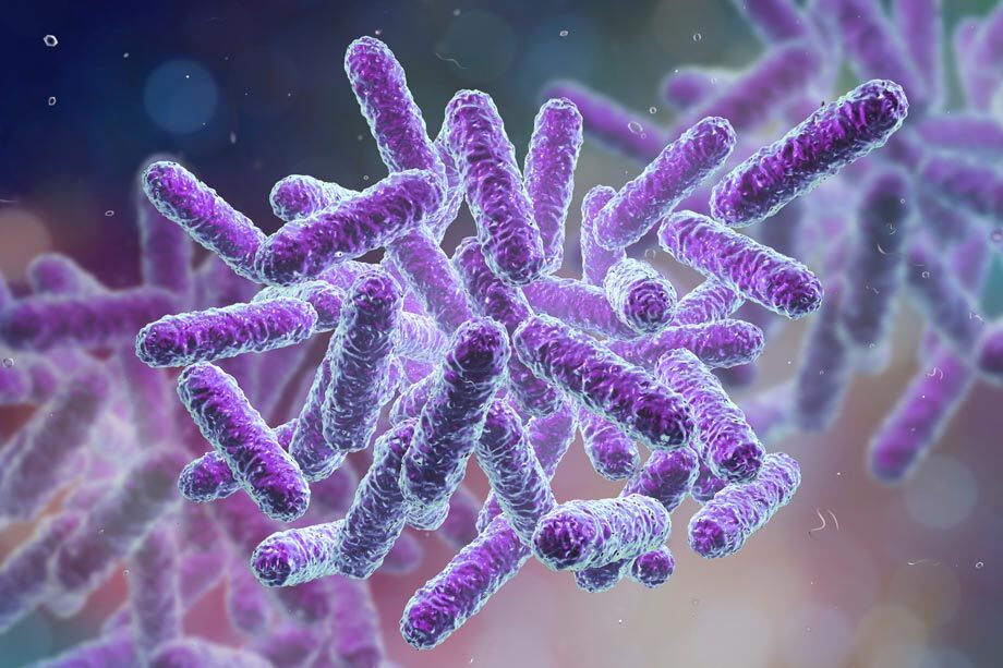 3D rendering of E. coli bacteria